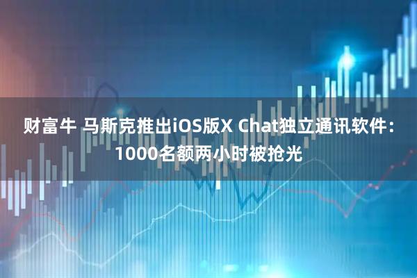财富牛 马斯克推出iOS版X Chat独立通讯软件：1000名额两小时被抢光