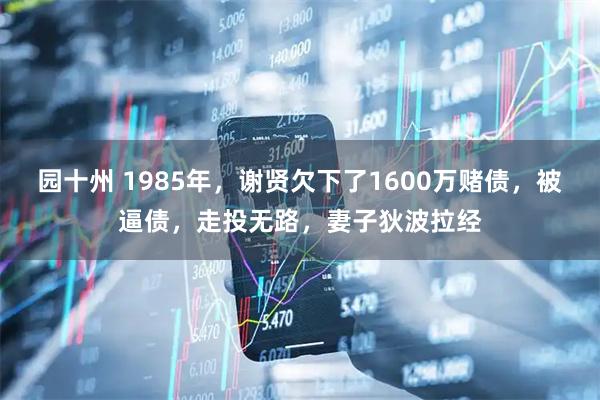 园十州 1985年，谢贤欠下了1600万赌债，被逼债，走投无路，妻子狄波拉经