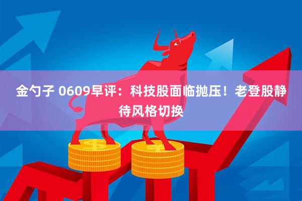 金勺子 0609早评：科技股面临抛压！老登股静待风格切换